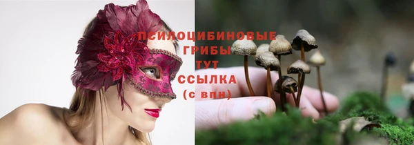 прущий лед Белоозёрский