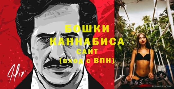 стаф Мегион