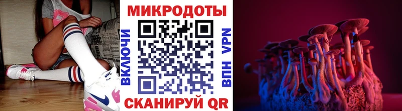 Галлюциногенные грибы Magic Shrooms  OMG как войти  Кунгур  сколько стоит 